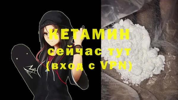 стафф Алзамай