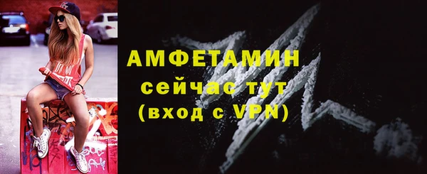 стафф Алзамай