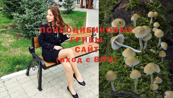 прущие грибы Алексин