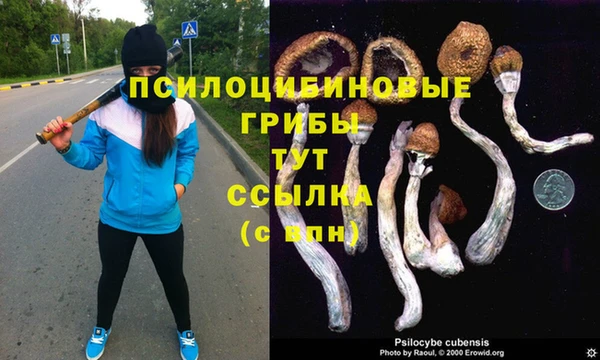 прущие грибы Алексин