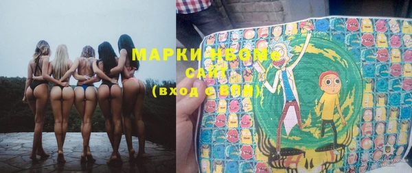 прущие грибы Алексин