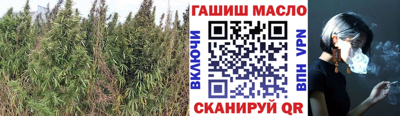 ТГК THC oil  KRAKEN зеркало  Белый  купить  цена 