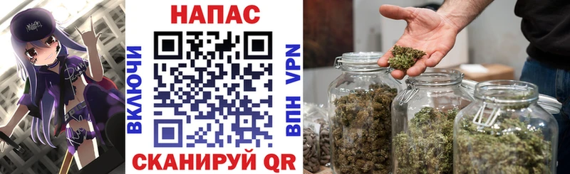 сколько стоит  Белый  Каннабис сатива 